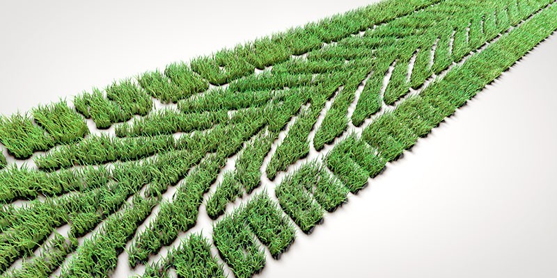 Gas Natural Vehicular: La Solución Sostenible para el Futuro del Transporte en México