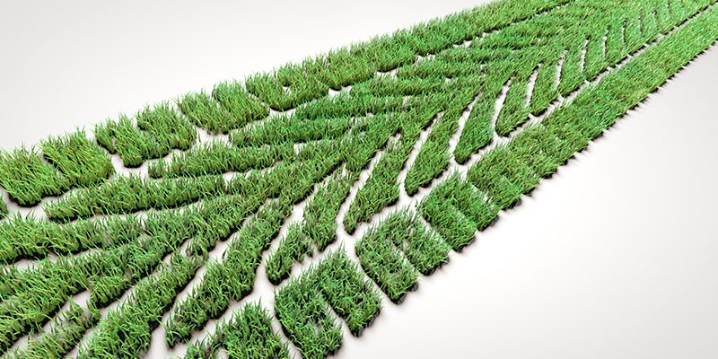 GNV el combustible del futuro sostenible.