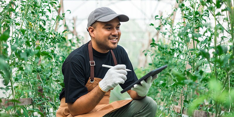 Gas Natural en la producción de invernaderos